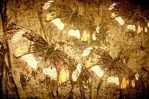 Retro Tapeta 24408 - samolepiaca na stenu